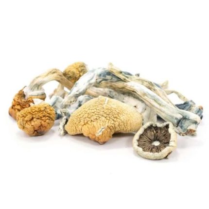 Buy Blue Meanies Magic Mushrooms