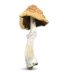 Buy Malabar Magic Mushrooms